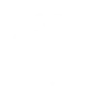 Logo Exclusivos